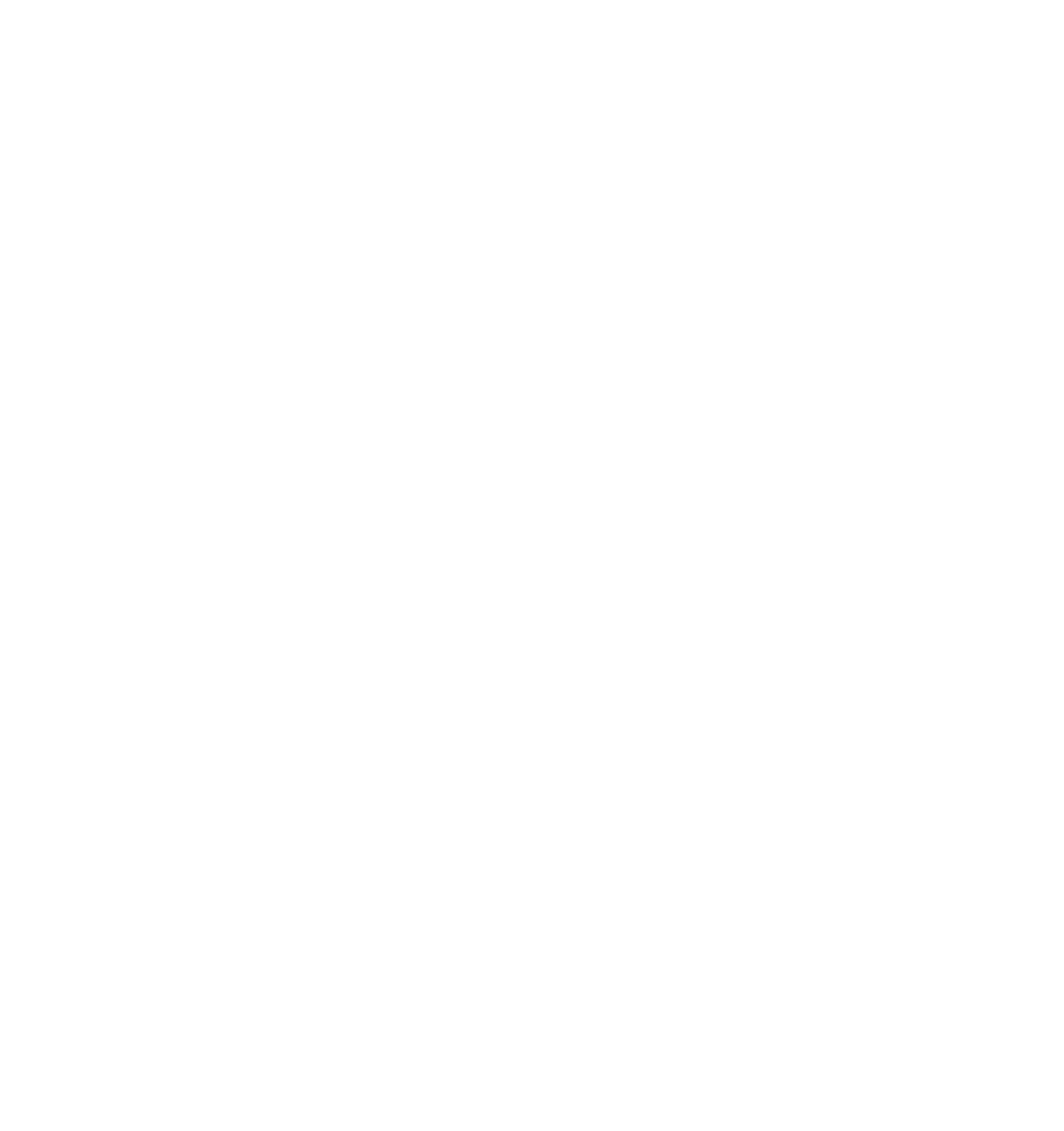 BV_Logo_weiß